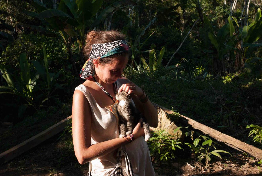 Les Chats en voyage : en plein coeur de la forêt amazonienne