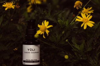 Yüli ! Donne-moi une bonne dose de courage !